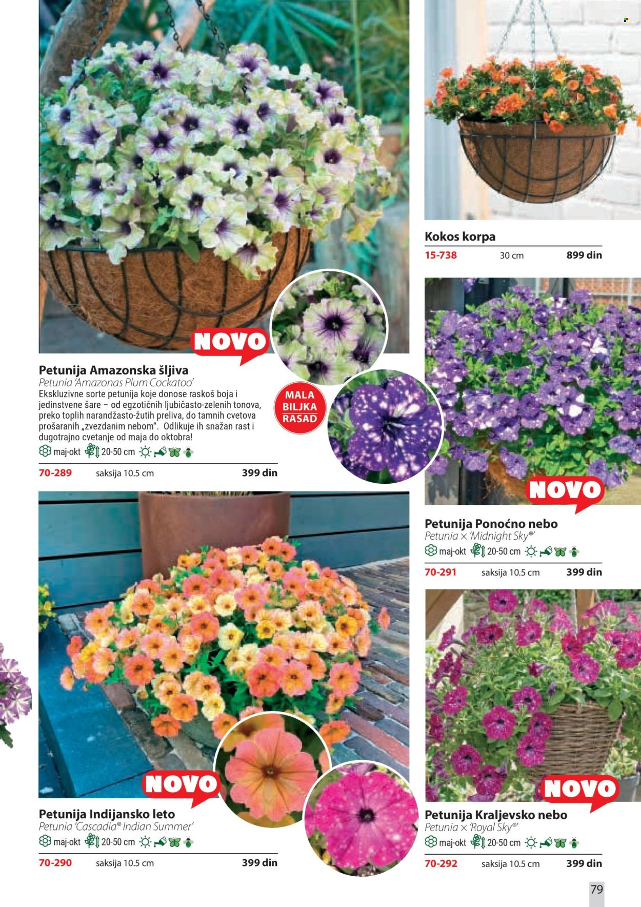 Flora Ekspres katalog. Stranica 79