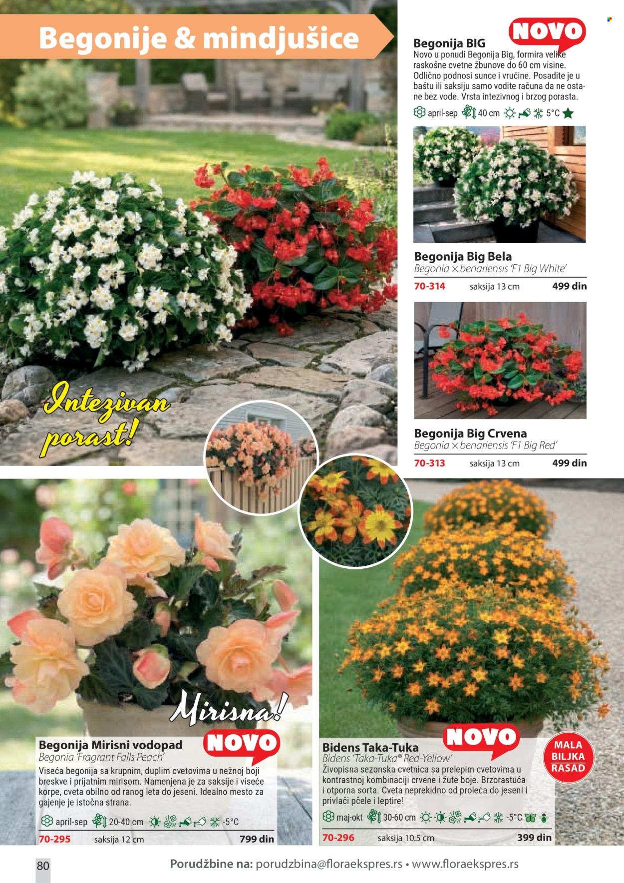 Flora Ekspres katalog. Stranica 80