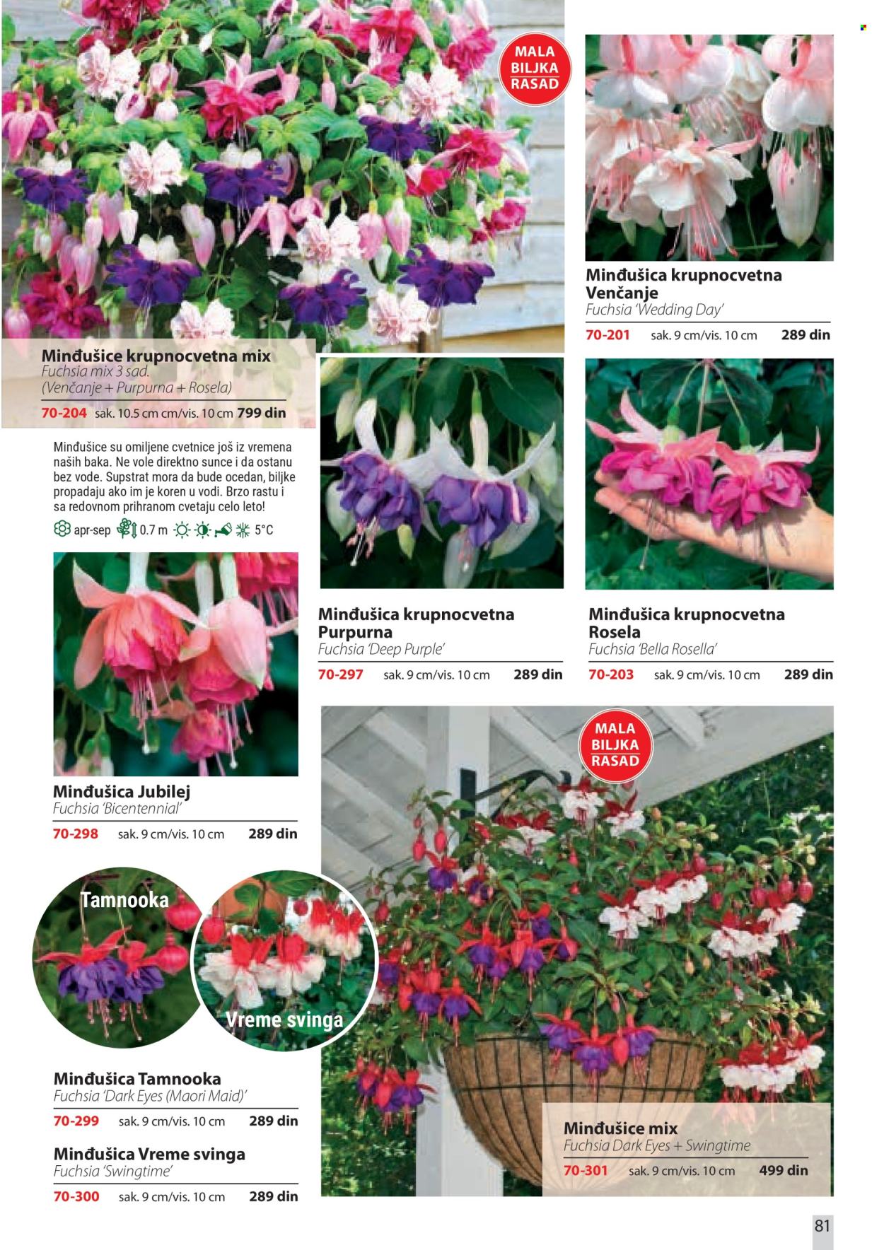 Flora Ekspres katalog. Stranica 81