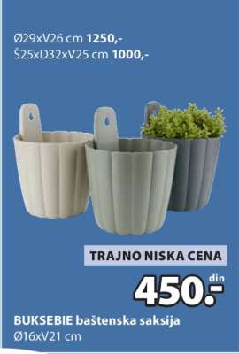 BUKSEBIE BAŠTENSKA SAKSIJA