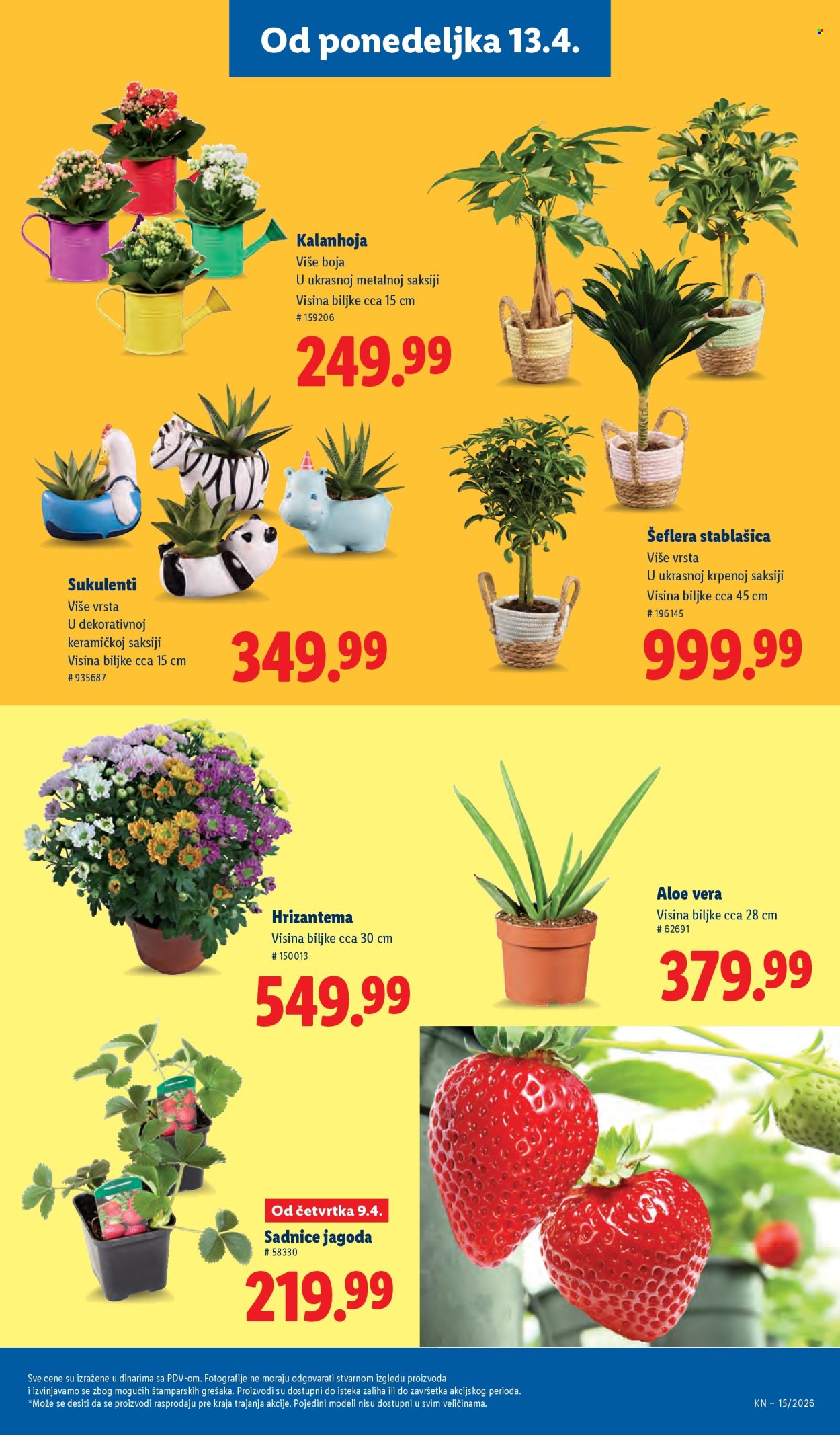 Lidl katalog - 09.04.2026 - 15.04.2026. Stranica 77