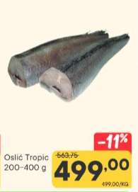 Oslić Tropic