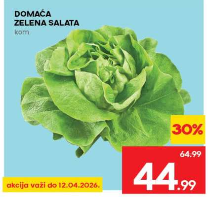 Domaća zelena salata