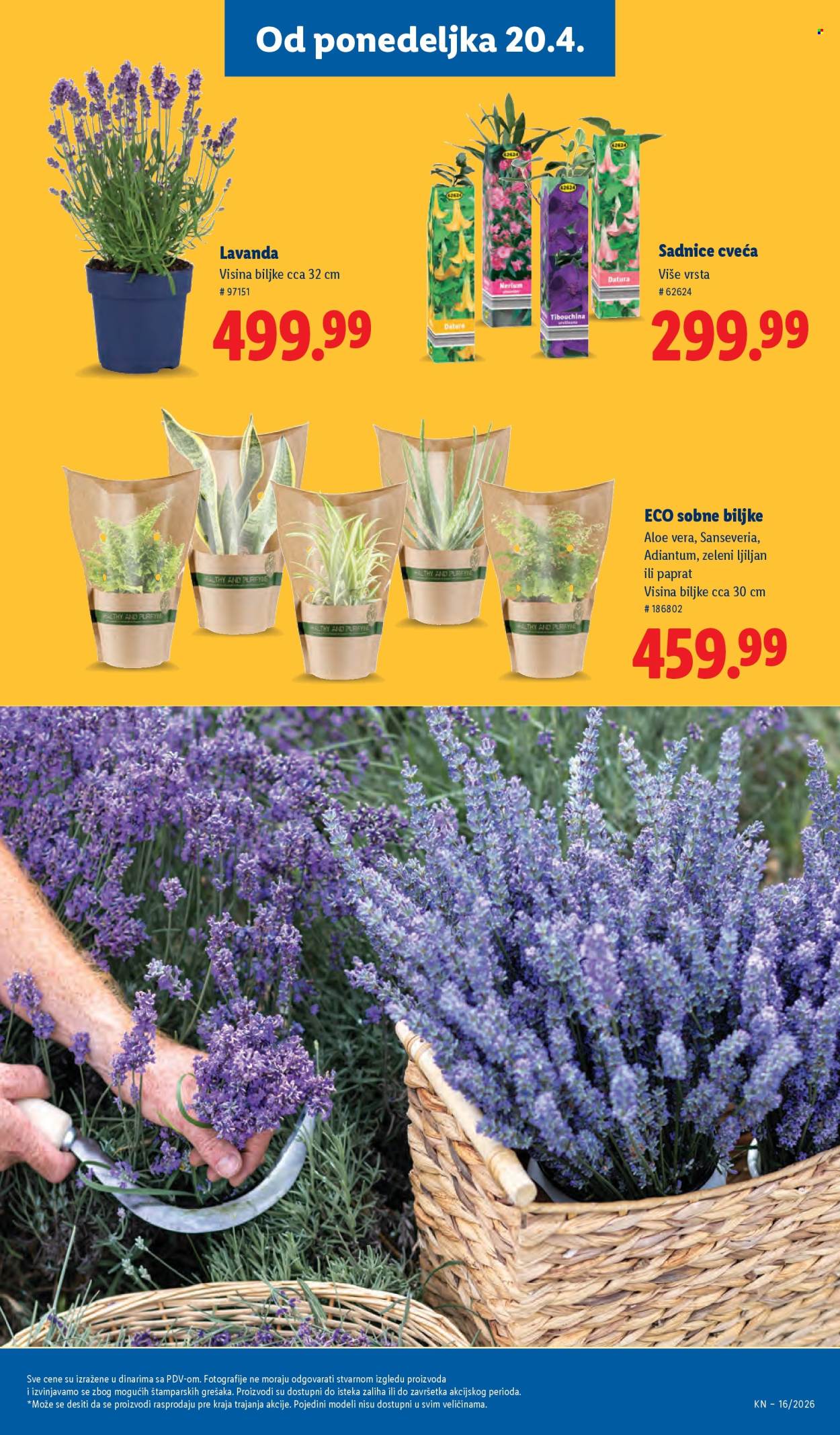 Lidl katalog - 16.04.2026 - 22.04.2026. Stranica 63