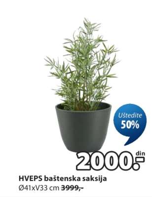 HVEPS BAŠTENSKA SAKSIJA