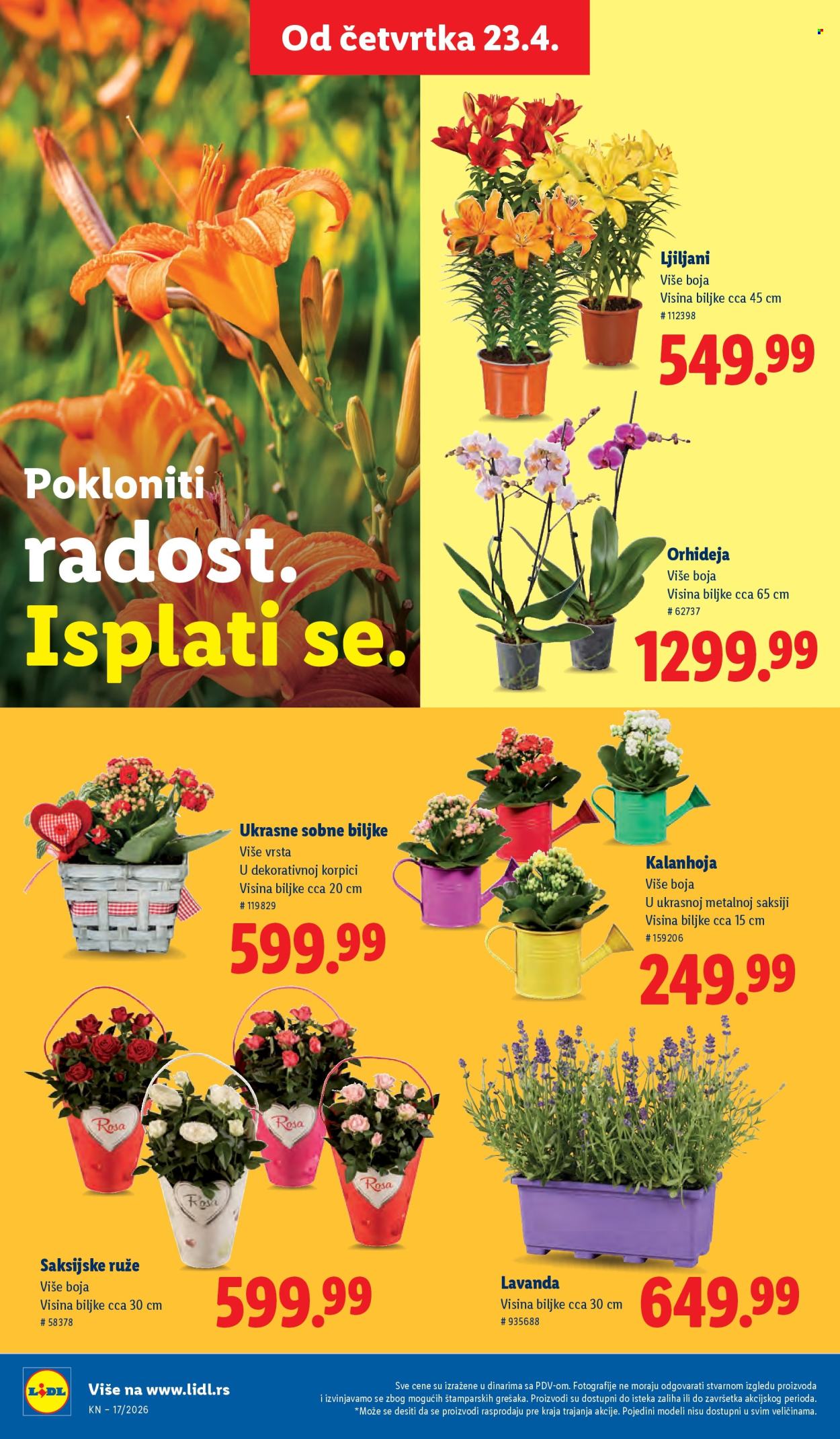 Lidl katalog - 23.04.2026 - 29.04.2026. Stranica 68