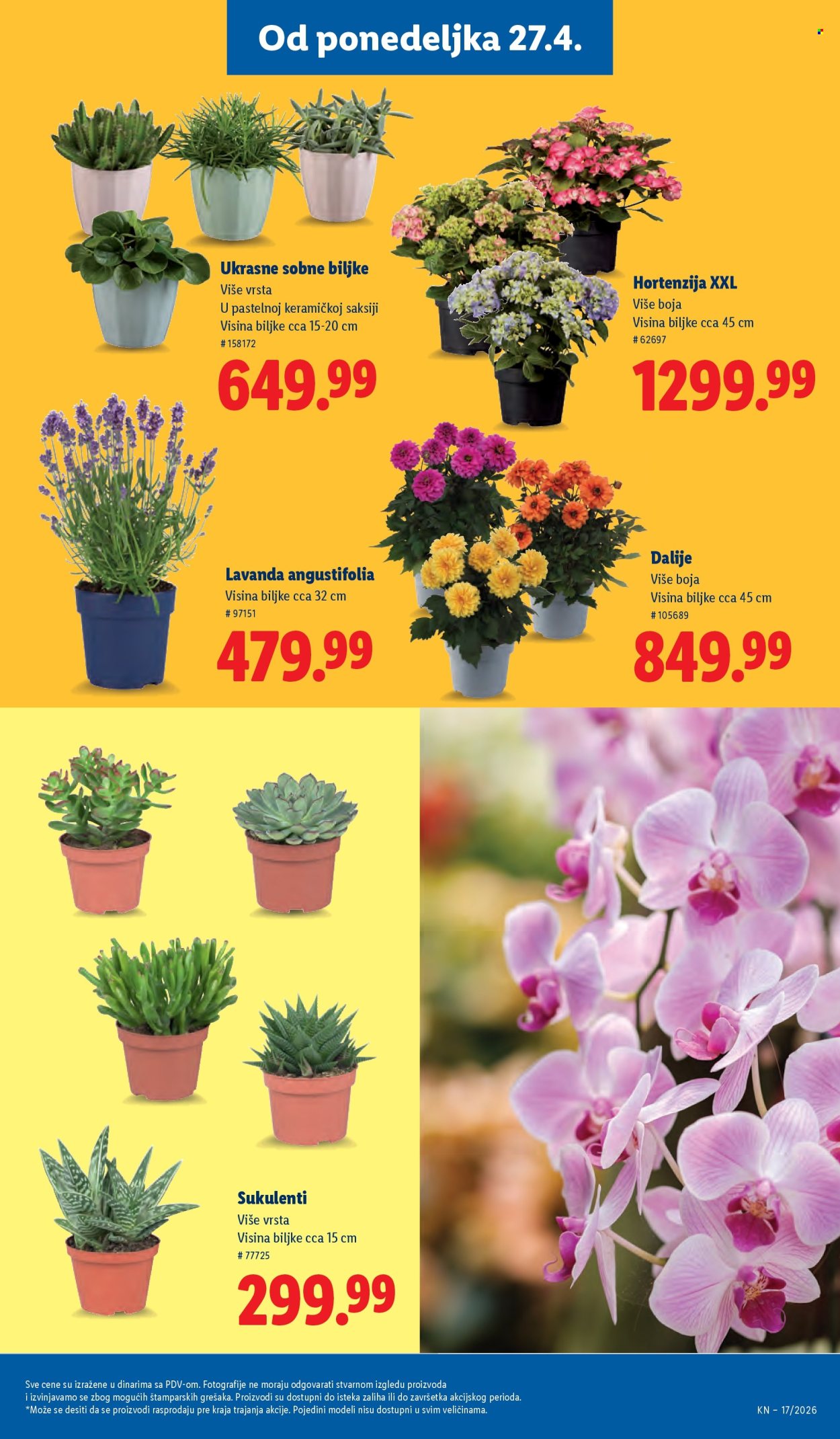 Lidl katalog - 23.04.2026 - 29.04.2026. Stranica 69