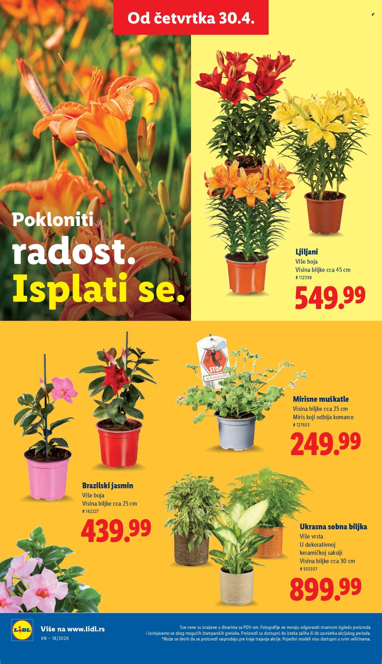 Lidl katalog - 30.04.2026 - 06.05.2026. Stranica 64