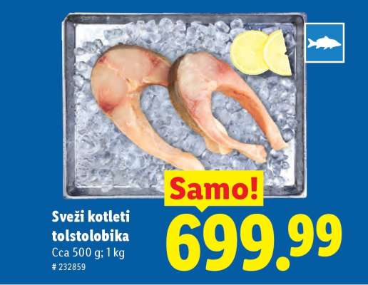 Sveži kotleti tolstolobika