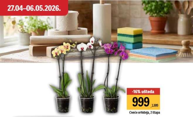 Cveće orhideja 2 štapa