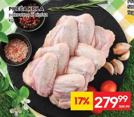 PILEĆA KRILA
