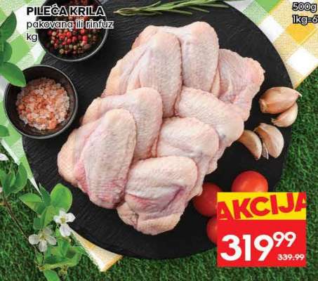 PILEĆA KRILA