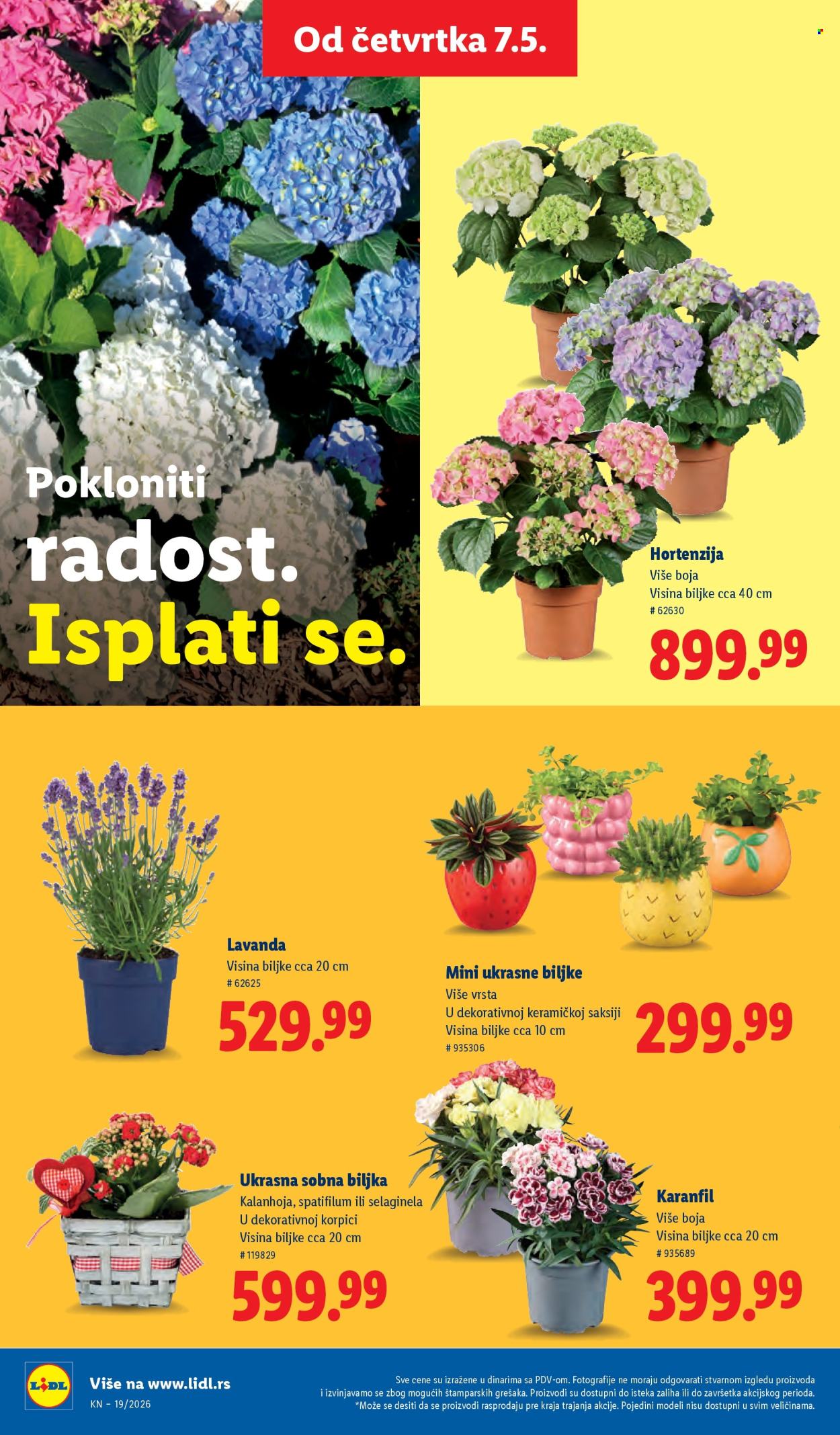 Lidl katalog - 07.05.2026 - 13.05.2026. Stranica 66