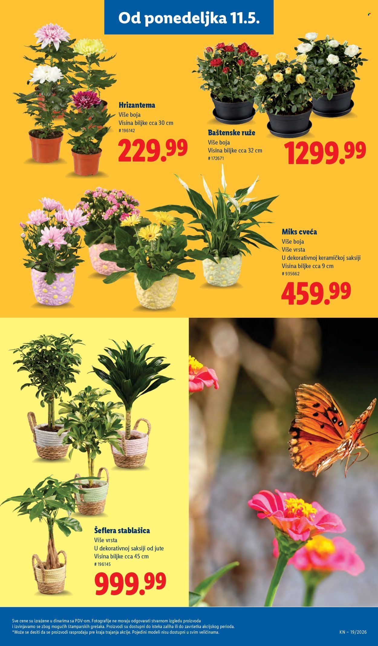 Lidl katalog - 07.05.2026 - 13.05.2026. Stranica 67
