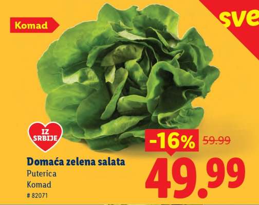 Domaća zelena salata
