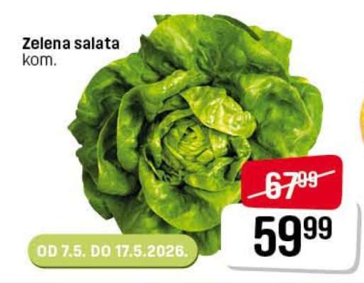 ZELENA SALATA