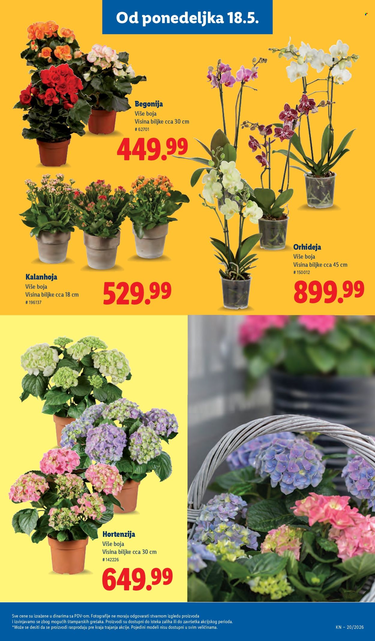 Lidl katalog - 14.05.2026 - 20.05.2026. Stranica 63