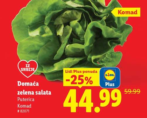 Domaća zelena salata