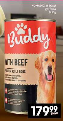BUDDY