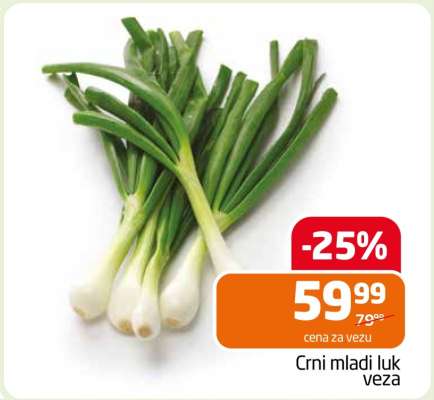 CRNI MLADI LUK veza
