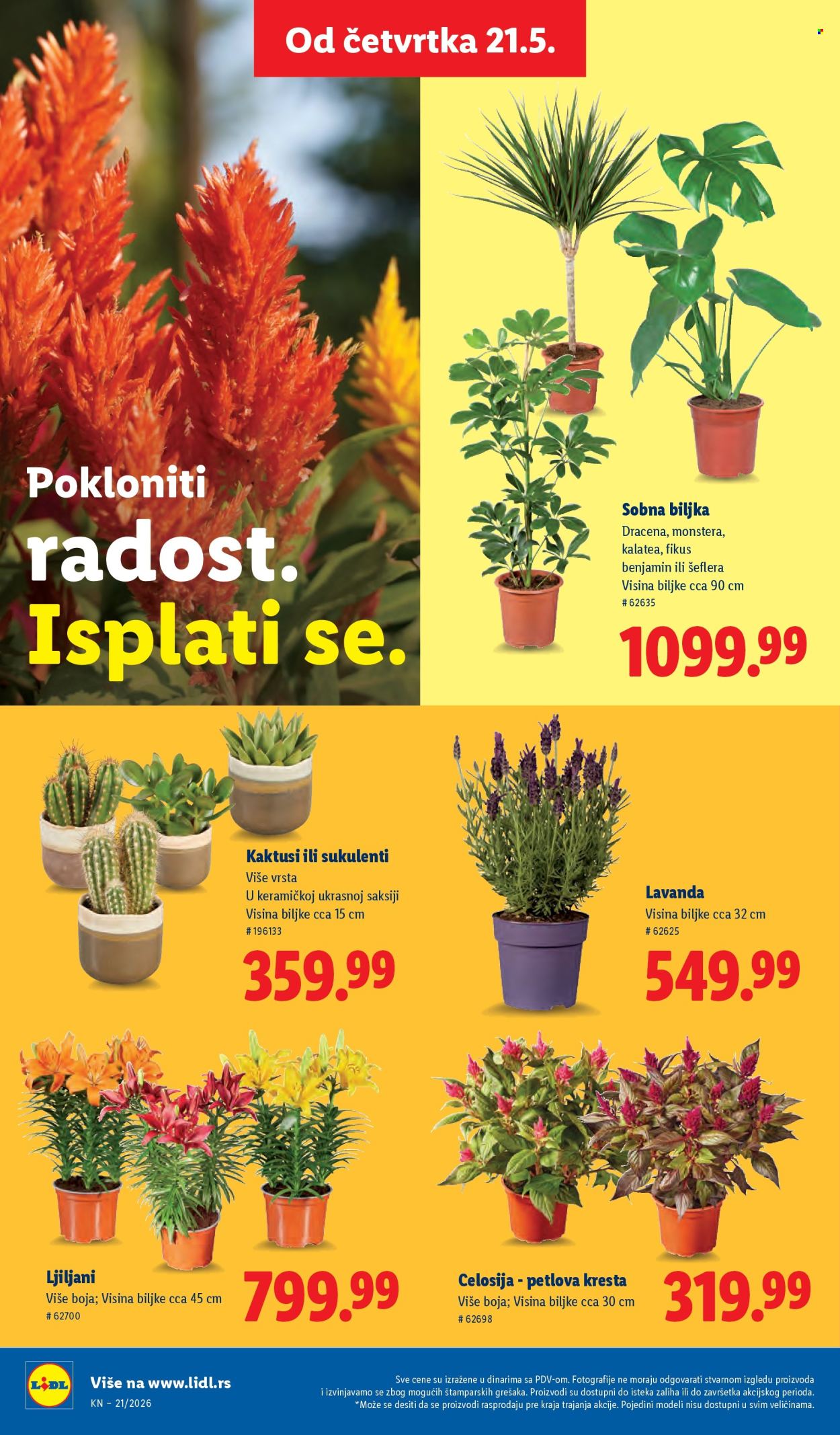 Lidl katalog - 21.05.2026 - 27.05.2026. Stranica 64