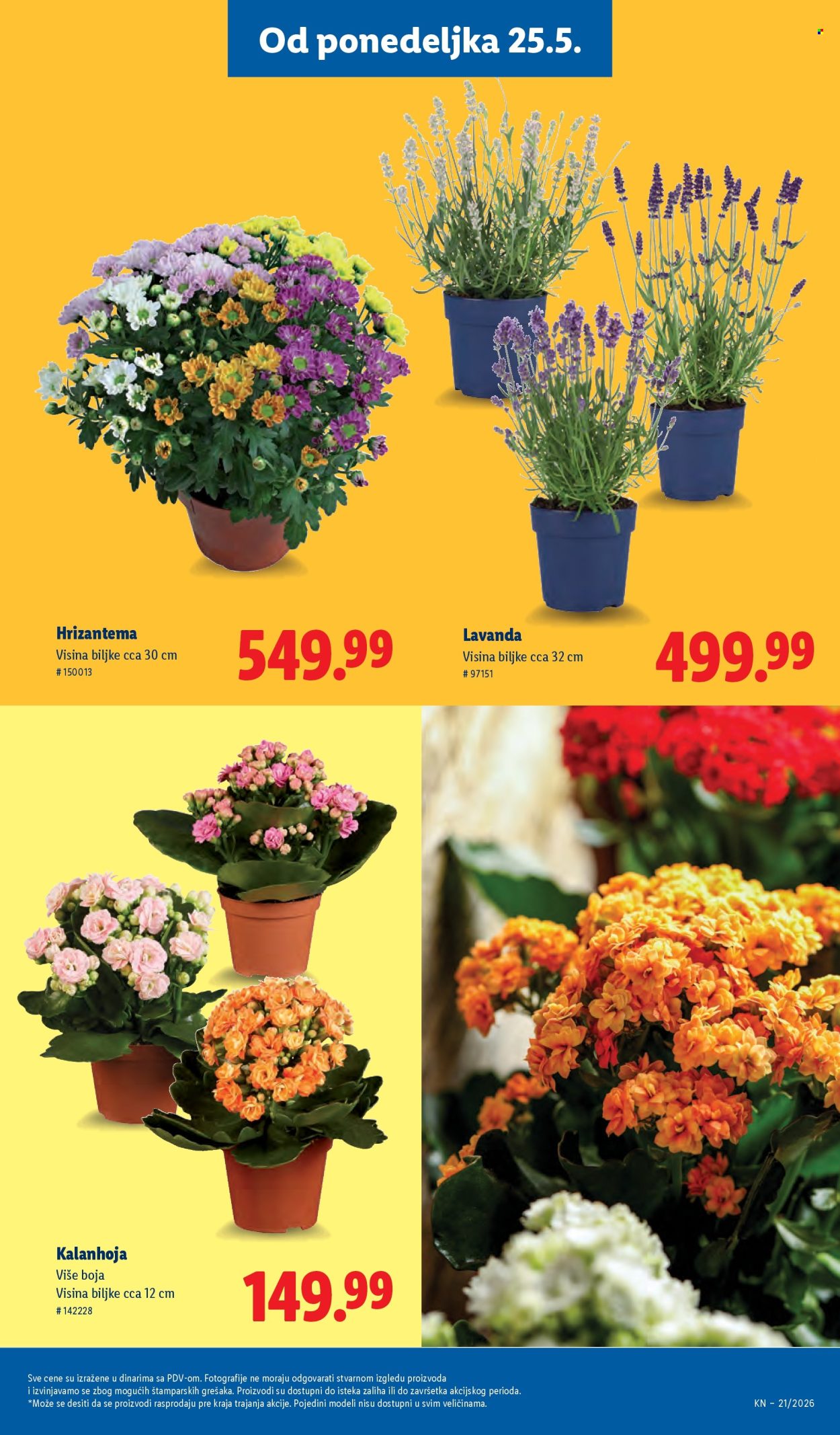 Lidl katalog - 21.05.2026 - 27.05.2026. Stranica 65