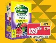 ČAJ ŠUMSKO VOĆE 44G WELTON