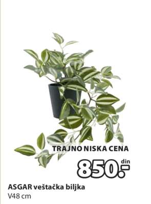 ASGAR VEŠTAČKA BILJKA