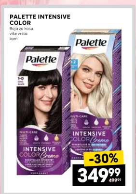 PALETTE INTENSIVE COLOR