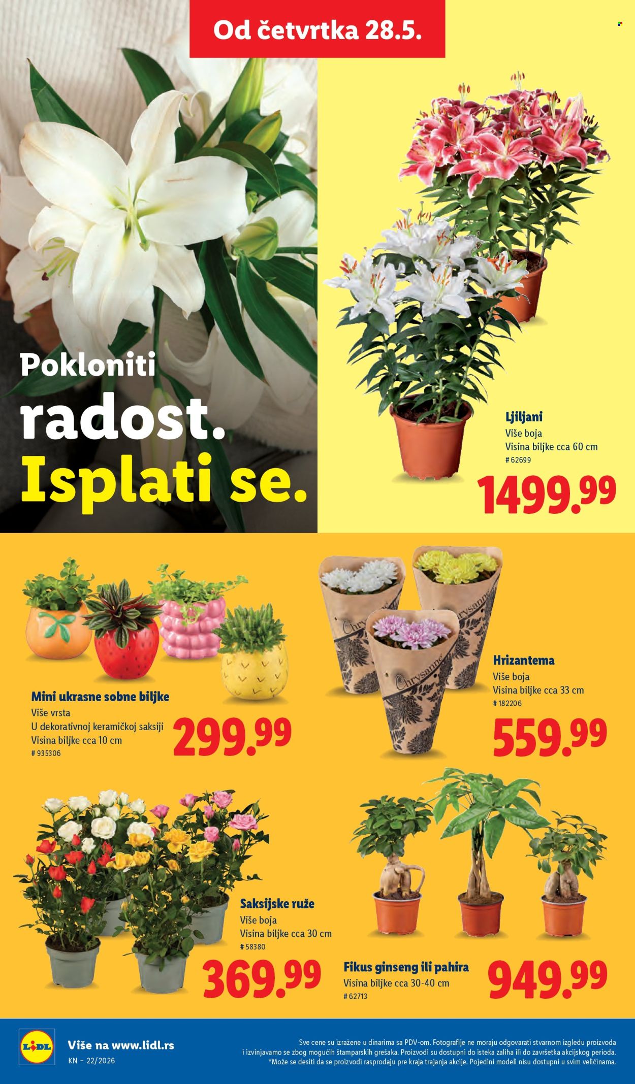 Lidl katalog - 28.05.2026 - 03.06.2026. Stranica 72