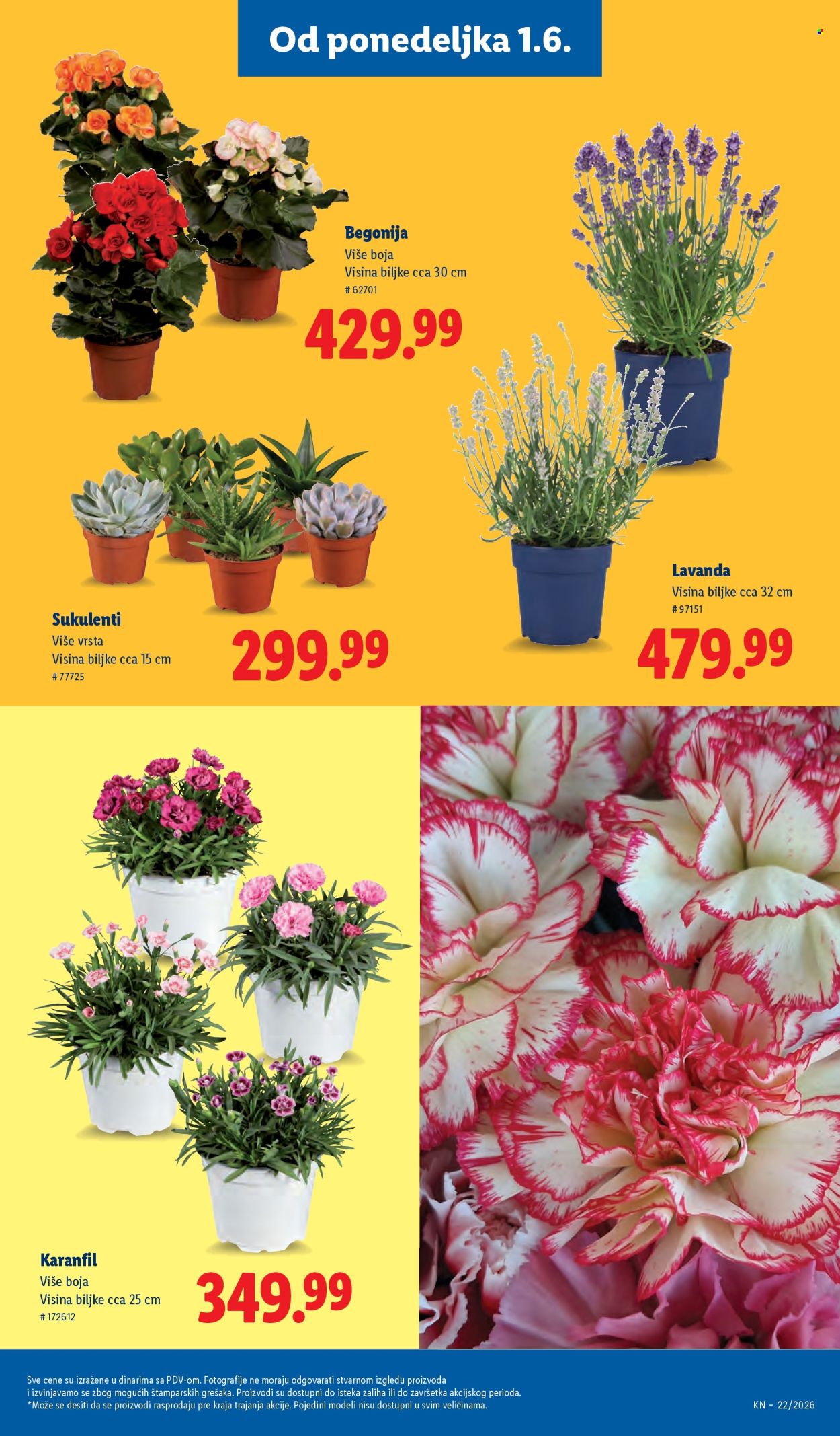 Lidl katalog - 28.05.2026 - 03.06.2026. Stranica 73