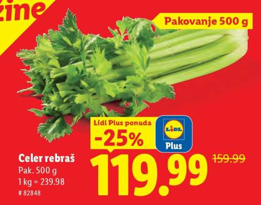 Celer rebraš