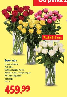 Buket ruža