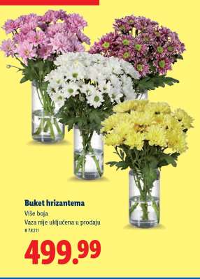 Buket hrizantema