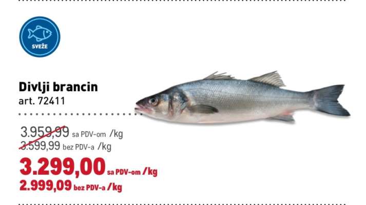 Divlji brancin