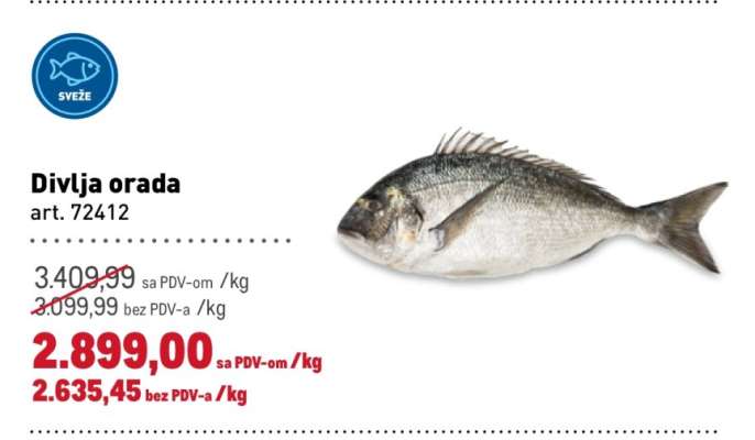 Divlja orada