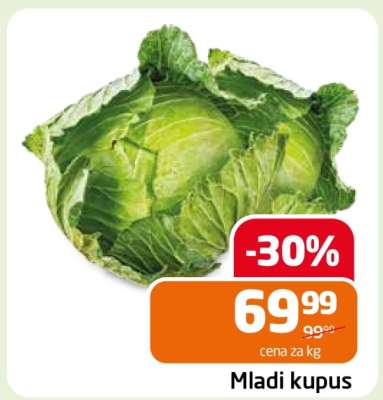 MLADI KUPUS
