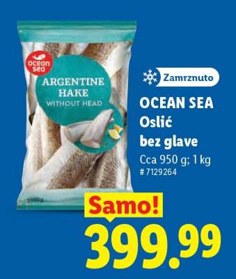 Ocean Sea Oslić bez glave