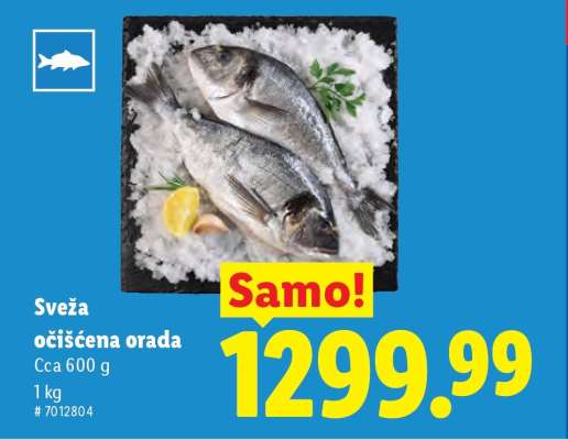 Sveža očišćena orada