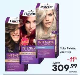 Color Palette