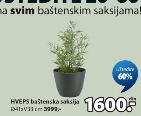 HVEPS BAŠTENSKA SAKSIJA