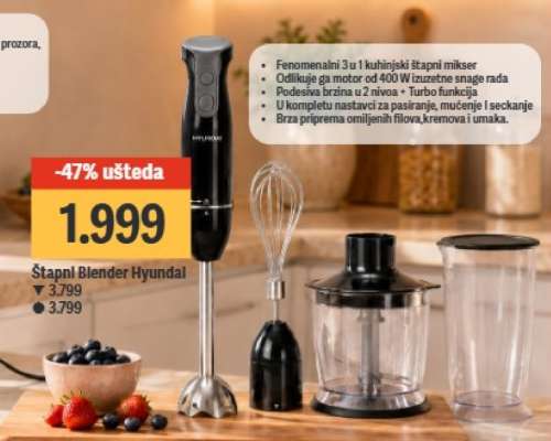 Štapni Blender Hyundai