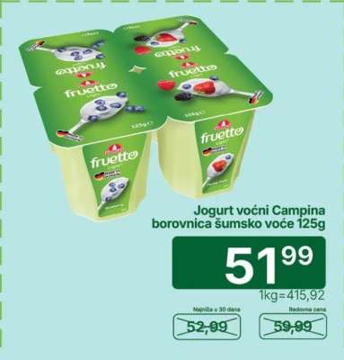 Jogurt voćni Campina borovnica šumsko voće 125g