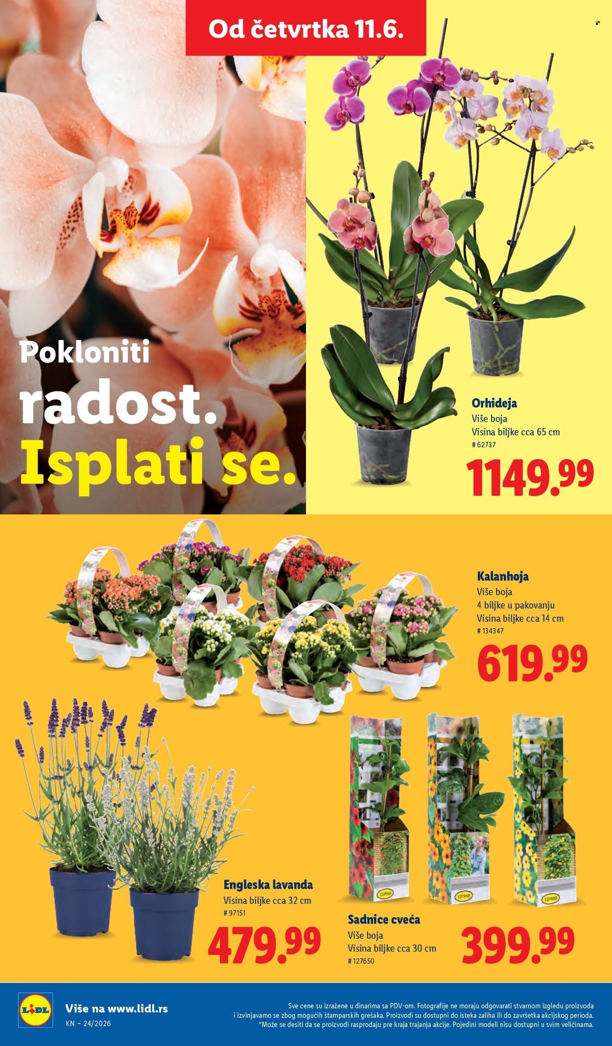 Lidl katalog - 11.06.2026 - 17.06.2026. Stranica 62