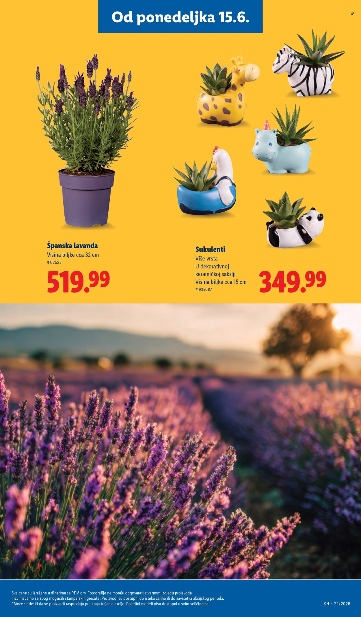Lidl katalog - 11.06.2026 - 17.06.2026. Stranica 63