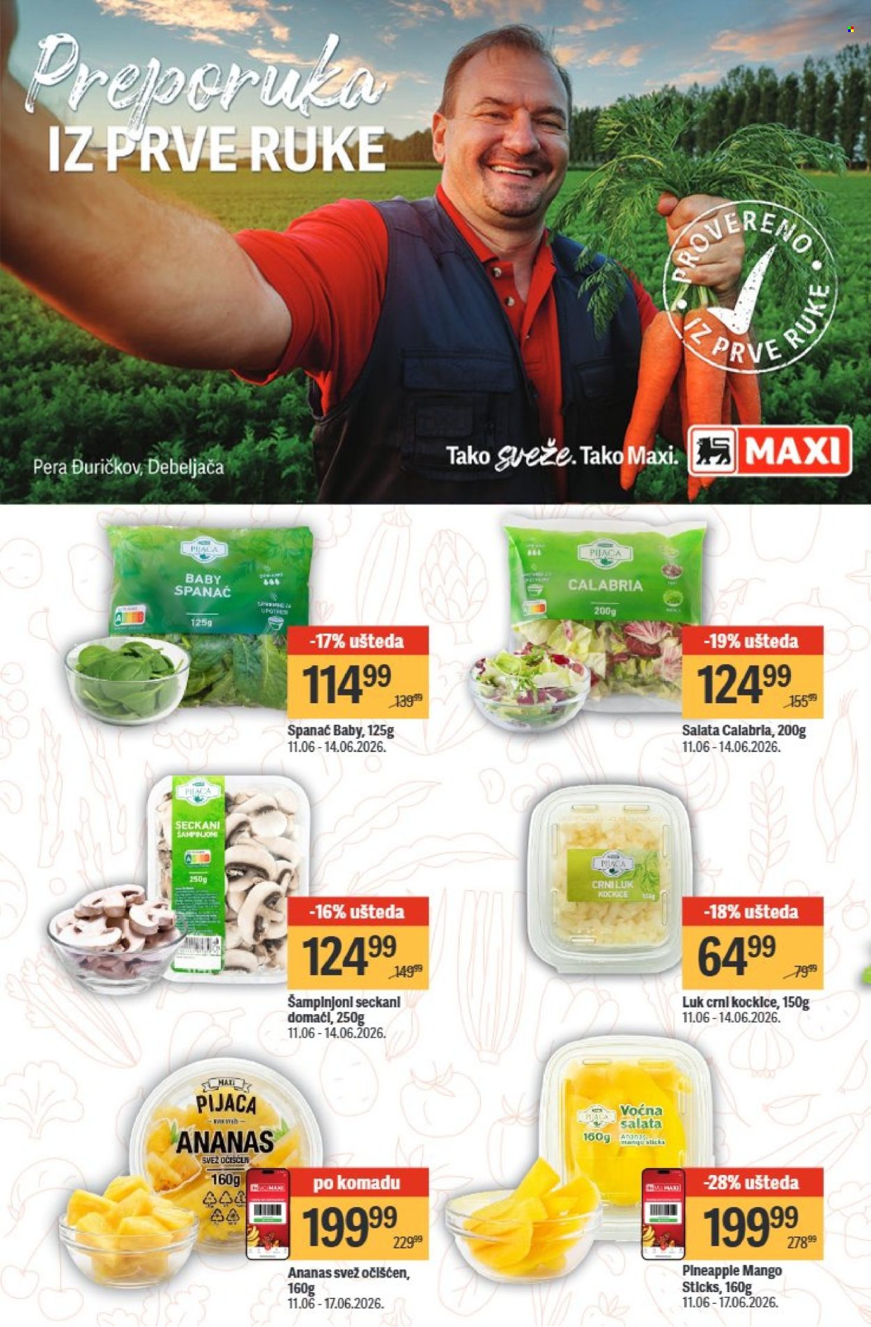 Maxi katalog - 11.06.2026 - 17.06.2026. Stranica 10