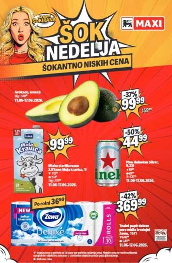 Maxi katalog.