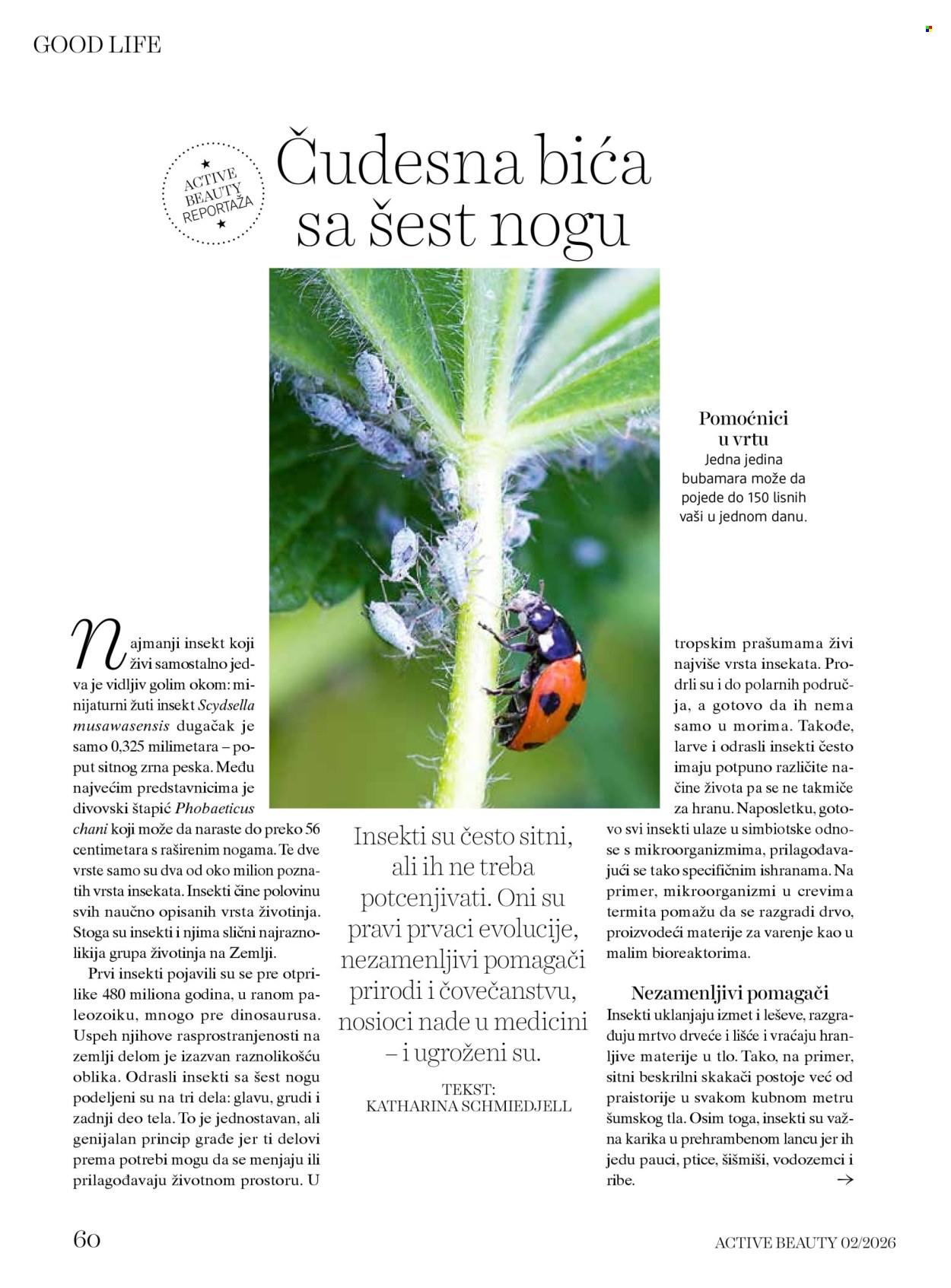 dm drogerie katalog. Stranica 60