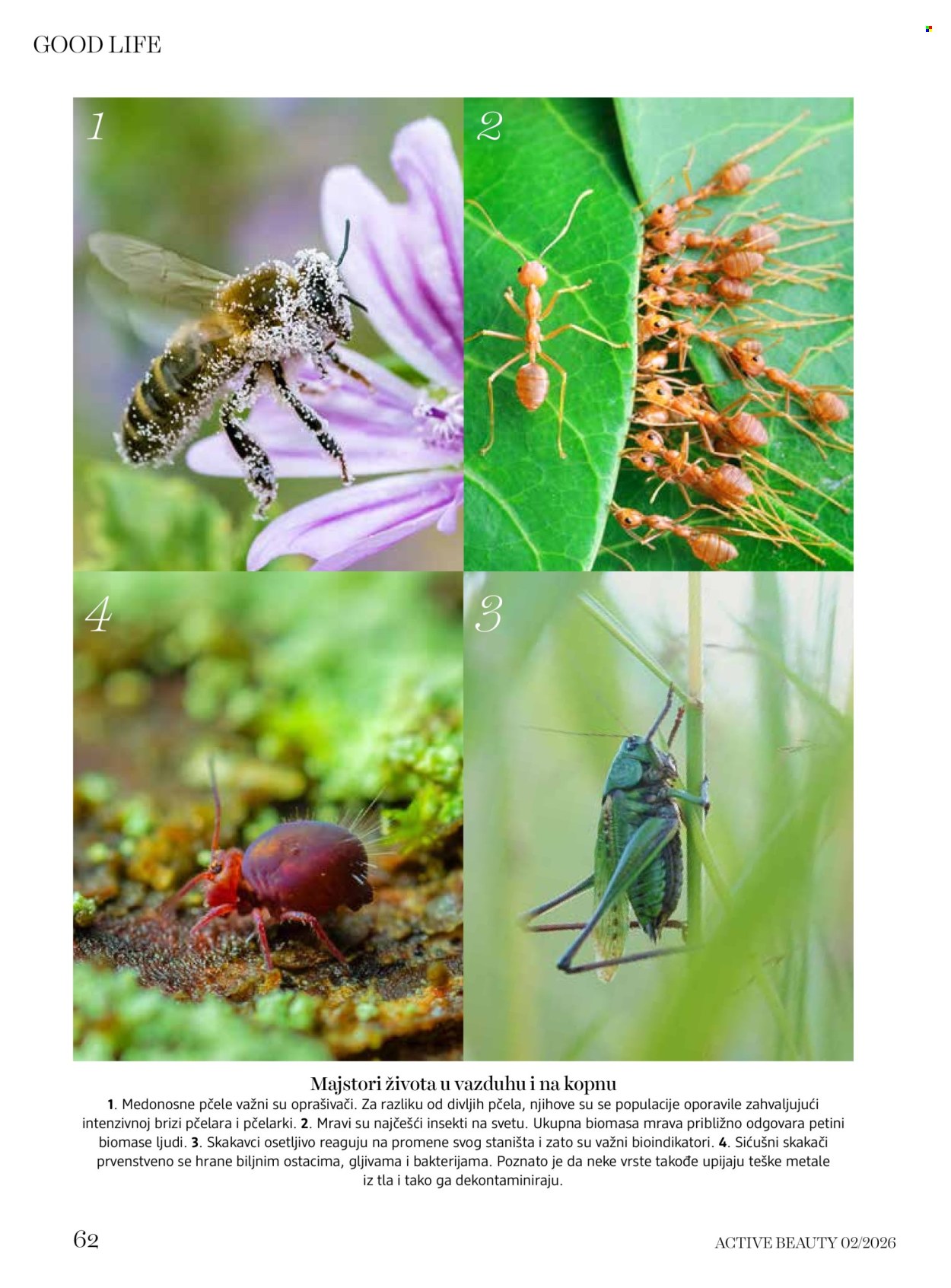 dm drogerie katalog. Stranica 62