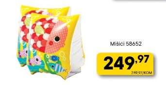 Mišici 58652